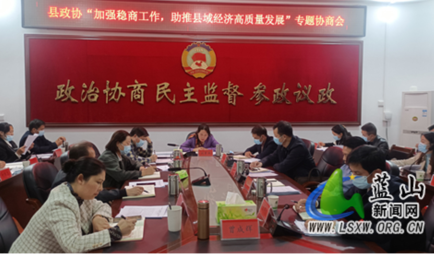 蓝山县政协召开“加强稳商工作 助推县域经济高质量发展”专题协商会议