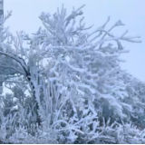 视频丨今冬第一场雪！双牌阳明山已银装素裹恍如仙境！