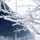 视频丨双牌阳明山迎来今冬首场雾凇奇观