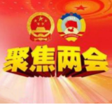 围绕中心建良言——民革、侨联、民进、新闻出版界、民盟、社科界联组讨论侧记