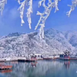 春节不“打烊”丨双牌阳明山邀你一起来赏雾凇