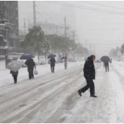 永州丨陈爱林连夜紧急调度全市应对雨雪冰冻天气