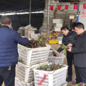 零陵派出15个工作组赴一线指导农业抗灾