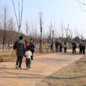 江华：踏青好时节 公园周末人气旺