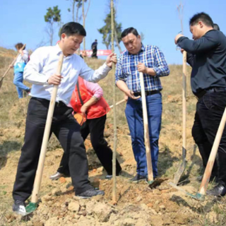 冷水滩：不负好春光 植树添绿正当时