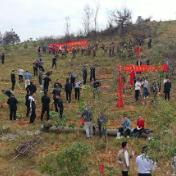 江华：义务植树为神州瑶都添新绿