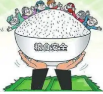 祁阳：抓紧抓实“三建三整三优化” 扛稳扛牢粮食生产安全责