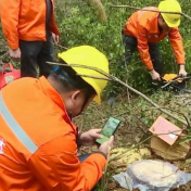 冷水滩：防治松材线虫病 保卫绿色风景线