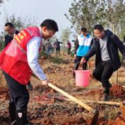 心中播绿 大地植绿——祁阳掀起春季义务植树活动高潮