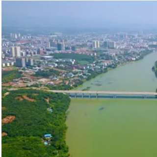 零陵区水稻制种产业为何长盛