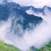 美永州丨春日双牌阳明山：春雾缭绕 宛如仙境