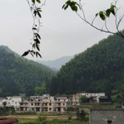 宁远：构建特色农业产业体系 助推瑶乡全面振兴