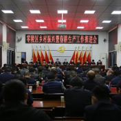 零陵区召开乡村振兴暨春耕生产工作推进会及新冠肺炎疫情防控工作会议