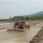 双牌：“铁牛”田间“撒欢” 助力春耕生产