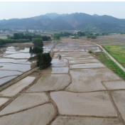 祁阳肖家镇：科技+机制  助推粮食生产