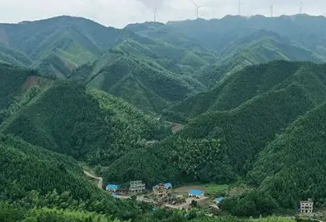 永州规范森林火情卫星热点核查处置