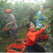 乡村振兴看零陵丨零陵古村，这里“葚”好！