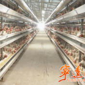 宁远：破解难题促发展 做强产业谋振兴