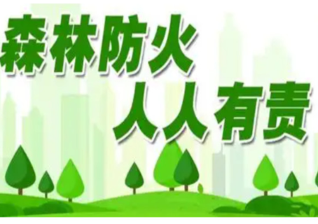 永州公安全力守护清明森林消防安全线