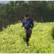 市劳动模范曾广标：用匠心成就梦想 用实干诠释担当