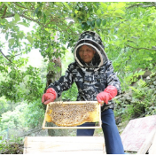 零陵：利用山区村优势 发展野蜜蜂养殖（图）