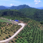 双牌：乡村振兴 民族村不掉队