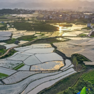 蓝山：初夏田园如画（组图）