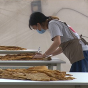 永州市第一届烟农合作社分级队员技能比武大赛在宁远开赛