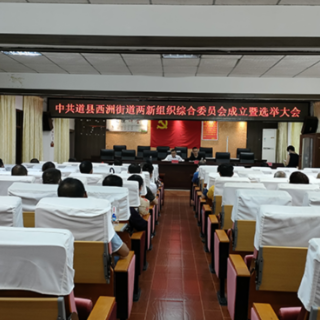 道县成立首个街道两新组织综合党委