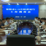 祁阳：陈小平主持召开1-5月经济运行工作调度会