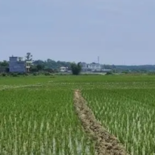 零陵：“三位一体”耕地保护 筑牢粮食安全根基