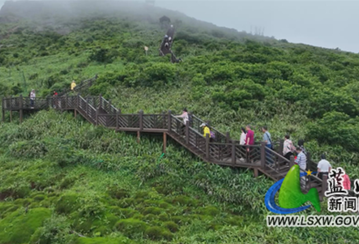 唱响好永州丨蓝山云冰山：高山苔藓迎客来