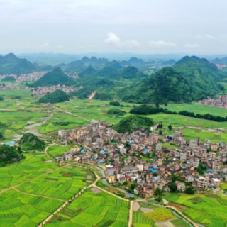 新田：沃野如画 生机勃发（组图）