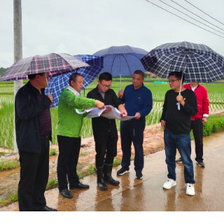 永州：率先完成2022年度高标准农田建设项目初步设计现场评审工作