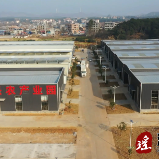 江华：联企帮扶听心声 为企纾困解难题