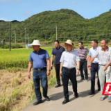东安：蒋华检查指导抗旱工作