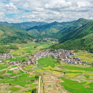 新田：初秋多彩田园绘“丰”景（组图）