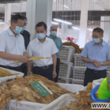 吴恢才到蓝山调研烤烟收购工作