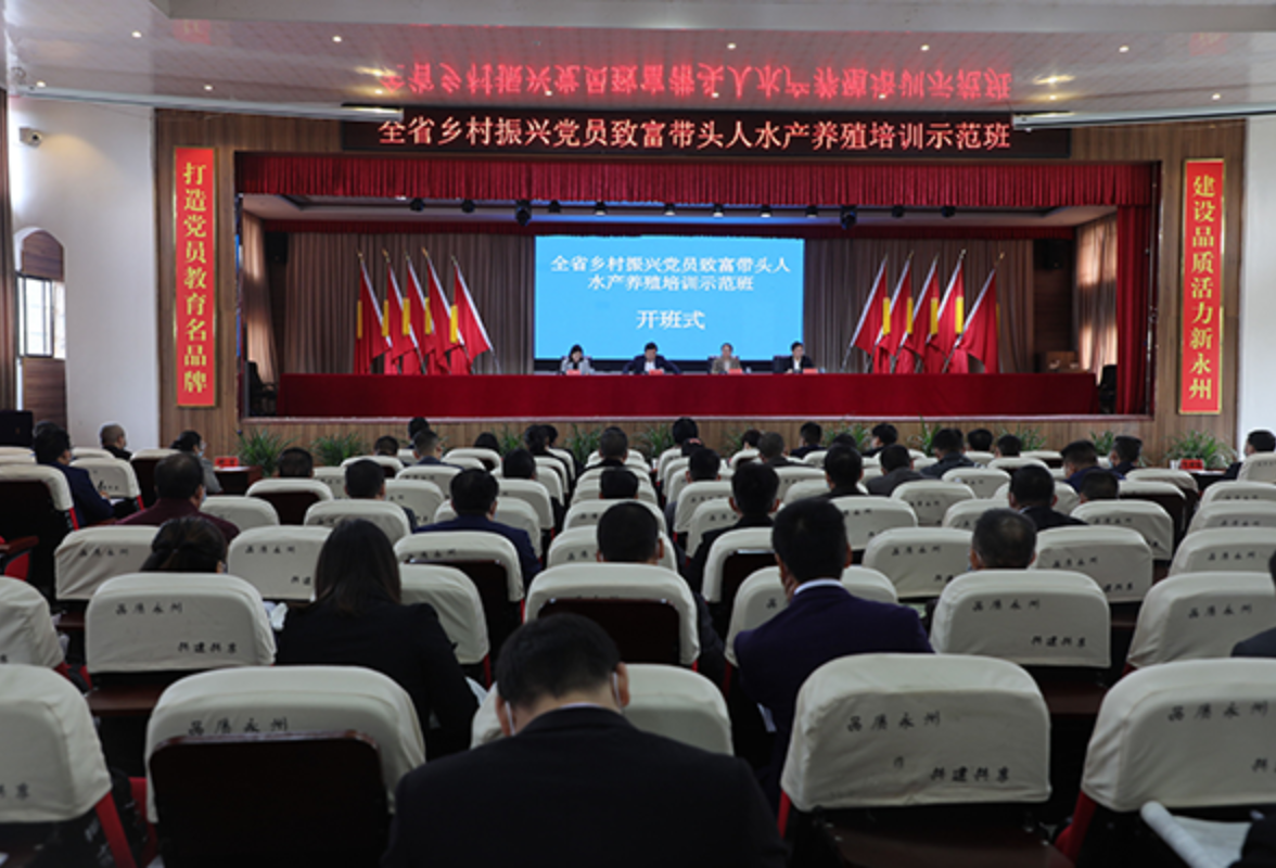 道县：“四大行动”打造两新组织发展新引擎
