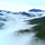 视频丨双牌阳明山的这群“小可爱”带你领略生物多样性之美