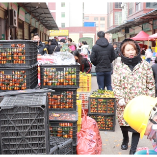 新春走基层丨江华：果品市场迎来节前销售热