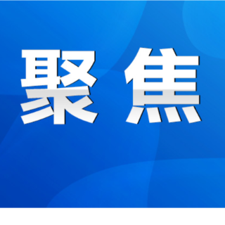 陈爱林：聚焦项目聚焦企业真抓实干 尽最大努力争取最好结果