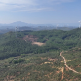 江华：霜降到 油茶采摘正当时