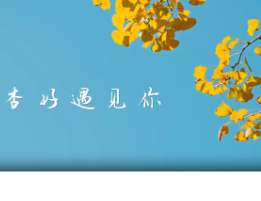 “杏”好遇见你！走，去永州！带你奔赴一场视听盛宴