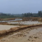 零陵：55万余良田绘就农业好“丰”景