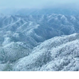 走，去永州丨永州多地呈现雾凇景观