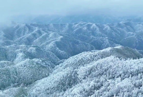 走，去永州丨永州多地呈现雾凇景观