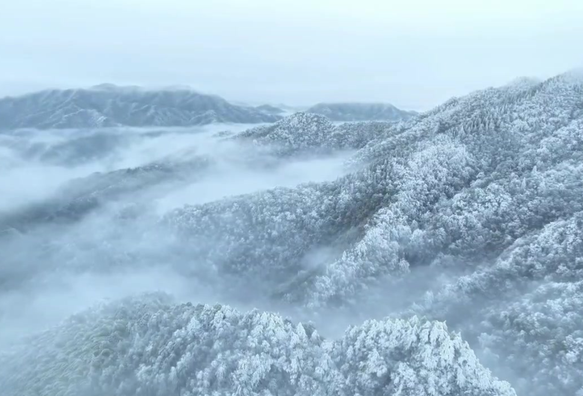 视频丨40秒带你解锁冬日双牌阳明山赏雪攻略