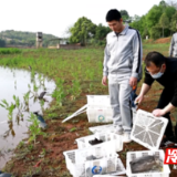 永州冷水滩：加大执法力度 保护野生动植物安全