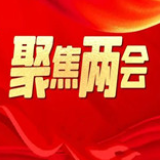 永州两会丨各代表团认真审议市人大常委会、法院、检察院工作报告